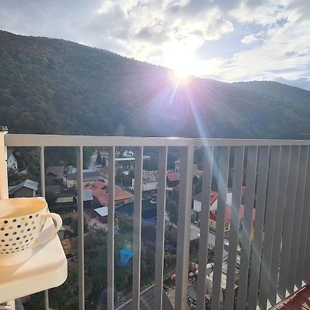 Apartament Vis De Sinaia ! Ngoại thất bức ảnh